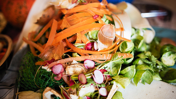 Chopped up vegetable cuttings